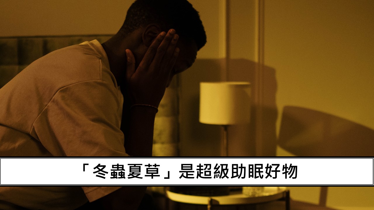 65_晚上睡得好、白天精神好！「冬蟲夏草」是超級助眠好物