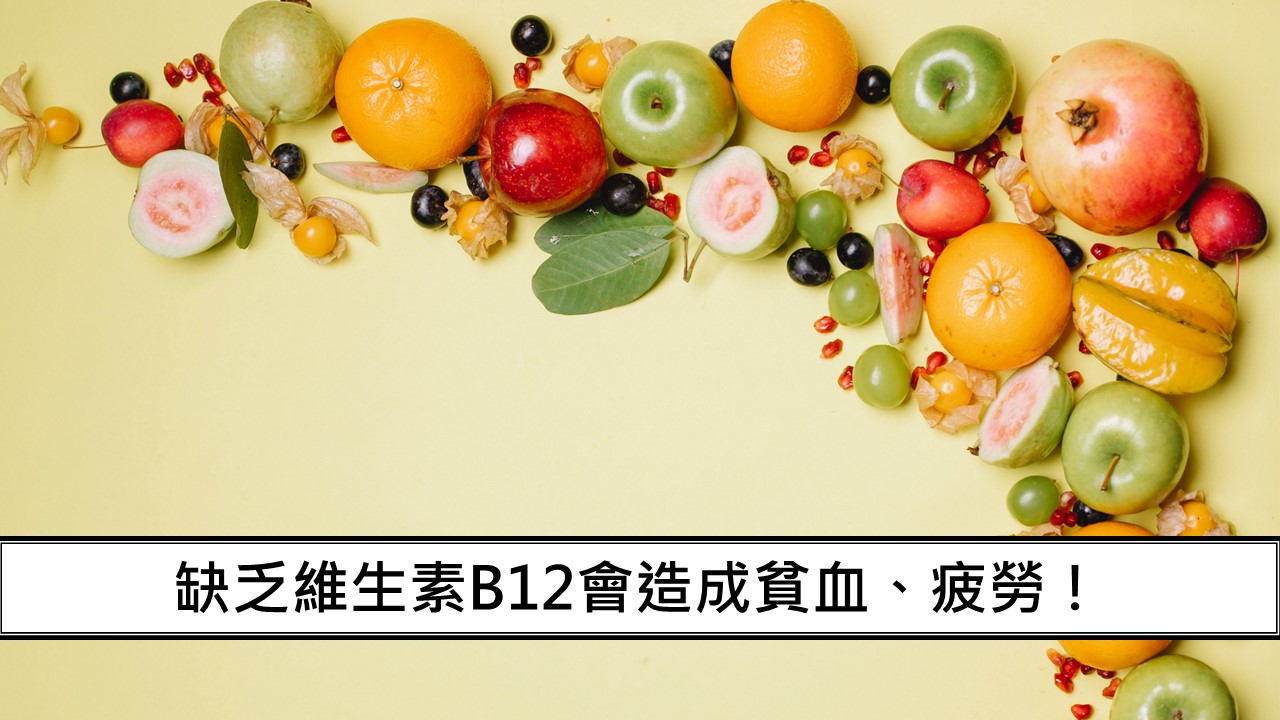 107_缺乏維生素B12會造成貧血、疲勞！