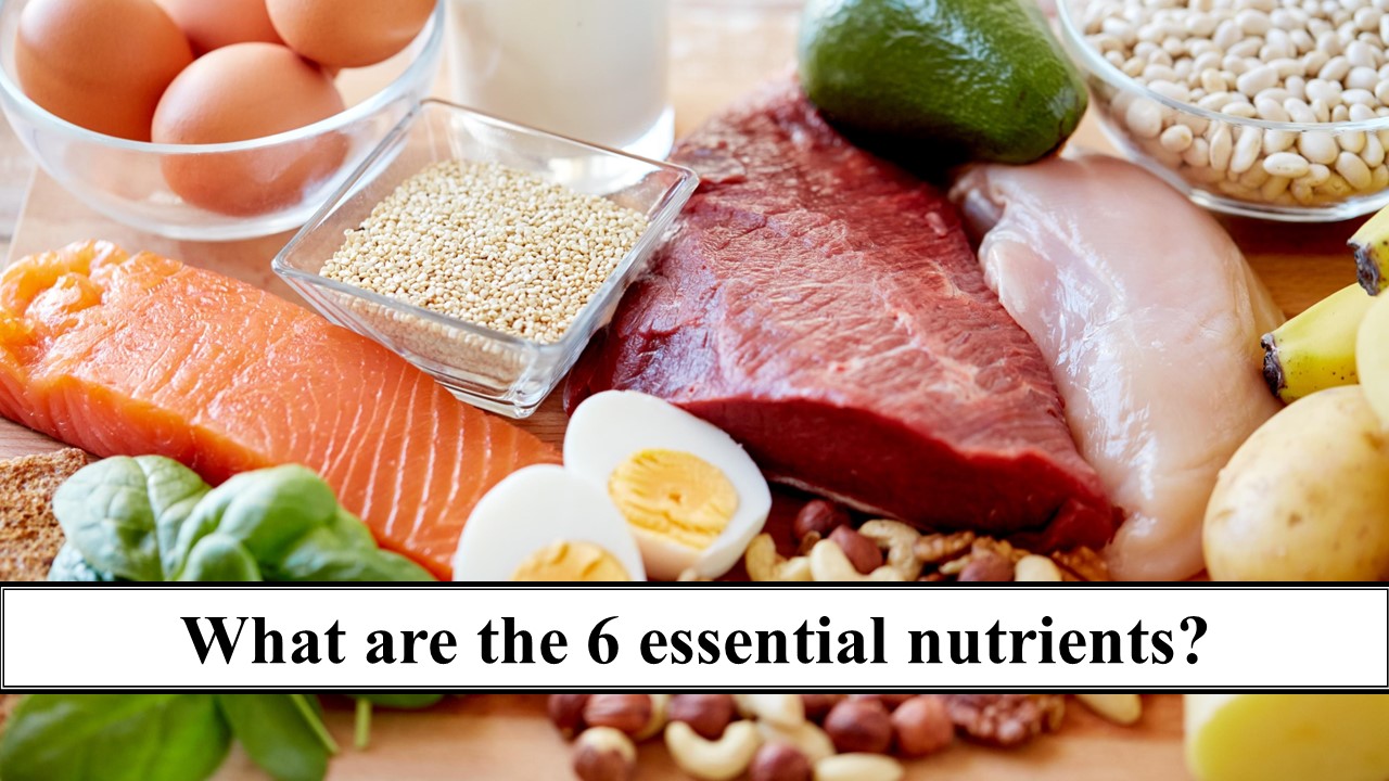 197_What are the 6 essential nutrients？