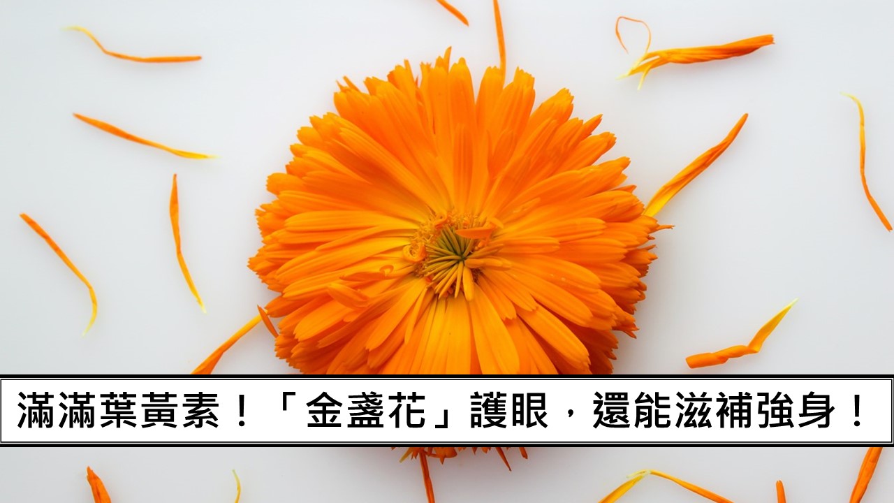 17_滿滿葉黃素！「金盞花」不只護眼，還能滋補強身！